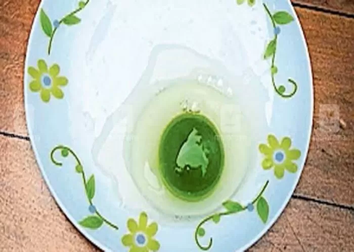 Ilustrasi telur hijau