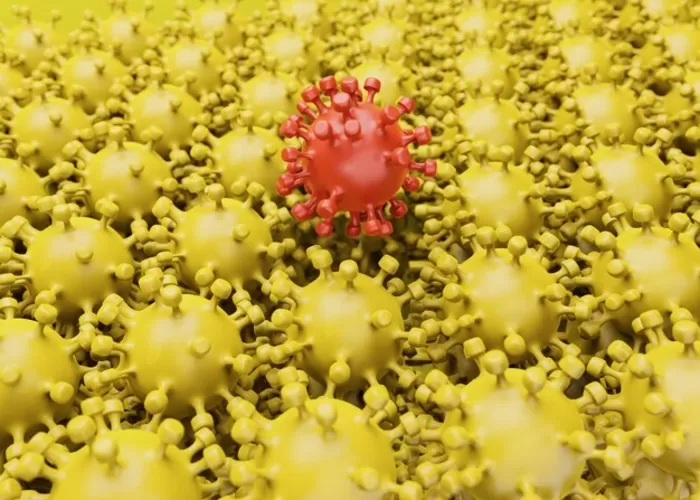 Virus burung di Kanada teridentifikasi sudah bermutasi