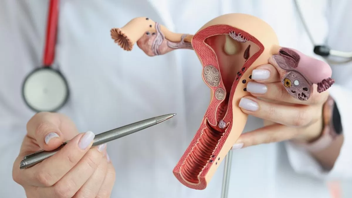 Benarkah Rahim Copot Bisa Terjadi? Ini Penjelasan Ilmiahnya yang Bikin Kamu Merinding! &ndash; suratdokter.com (Ainun Maghfiroh)