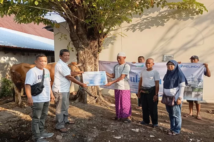 PT Pelindo Pelabuhan Tegal serahkan hewan kurban (Dok/ PT Pelindo Pelabuhan Tegal)