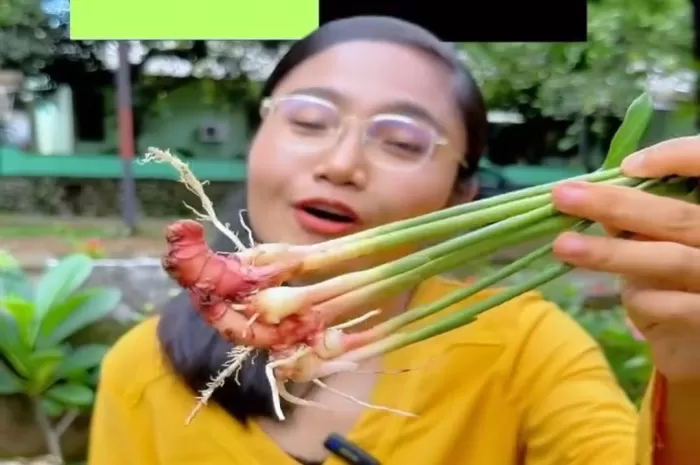 Jahe merah dapat menyembuhkan penyakit flu (instagram @emasuperr)