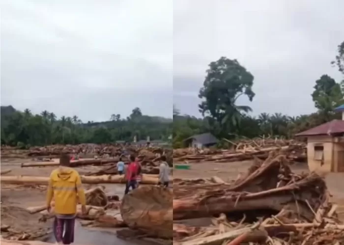 Kayu gelondongan yang menghantam rumah-rumah di Tapanuli Selatan saat banjir bandang.  (Instagram/sumutnusantara)