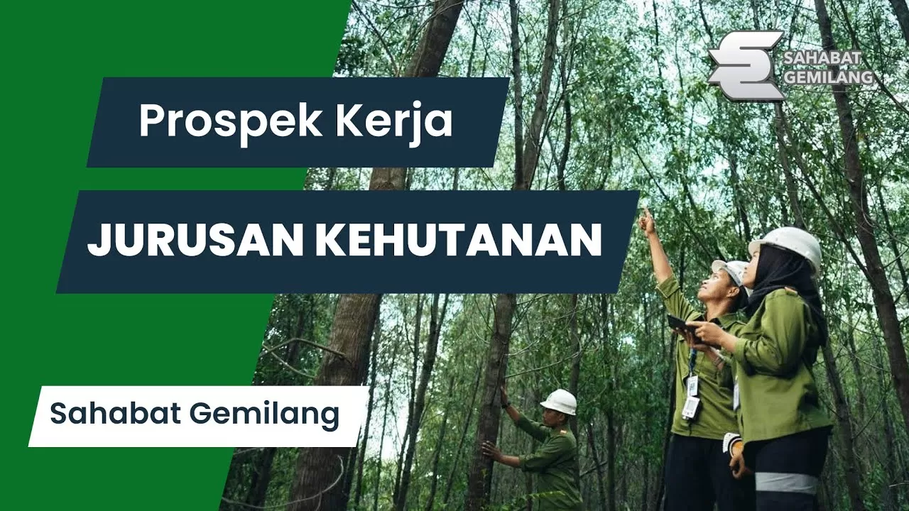 Yuk Intip Prospek Kerja Serta Keunggulan Jurusan Kehutanan, Yang Masih ...