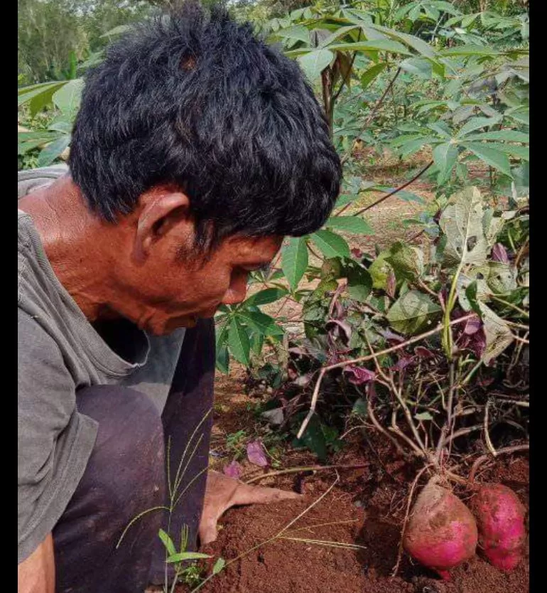 Selain Banyak Manfaat Untuk Kesehatan, Berikut Efek Samping Konsumsi ...