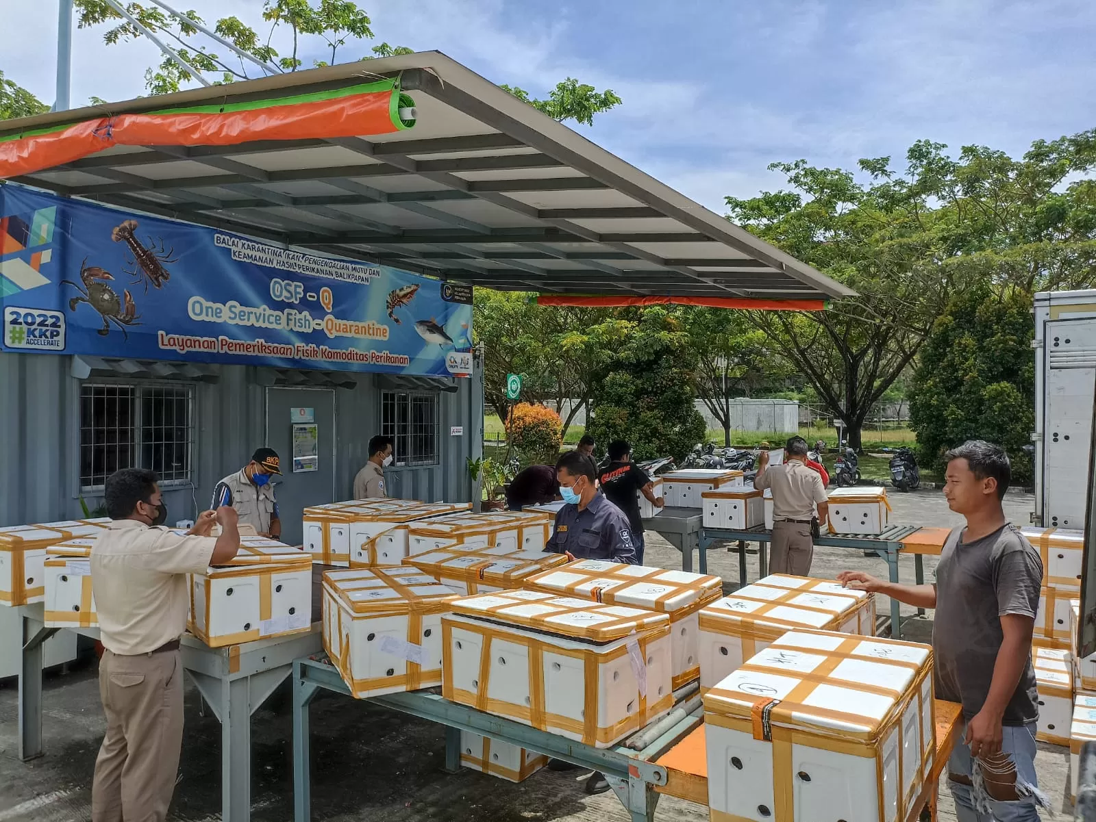 PENGAWASAN: Petugas Badan Pengendalian dan Pengawasan Mutu Hasil Kelautan dan Perikanan Balikpapan memeriksa produk yang akan diekspor langsung dari Kaltim.  