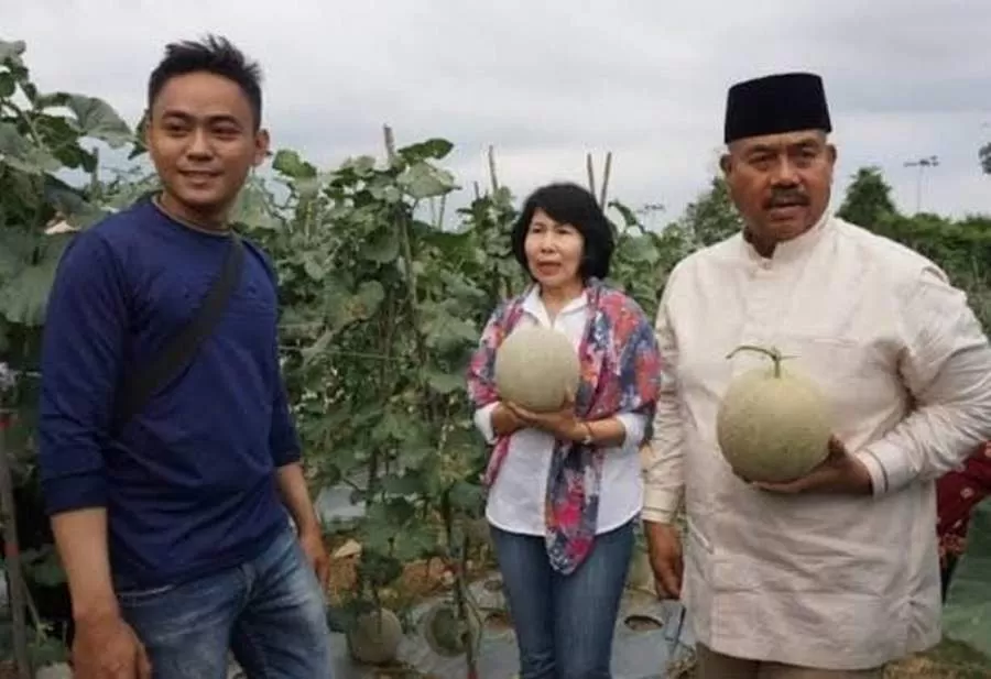 PERTANIAN: Bupati Kukar Edi Damansyah saat panen melon di Desa Bendang Raya, Tenggarong, bersama petani milenial beberapa waktu lalu.  