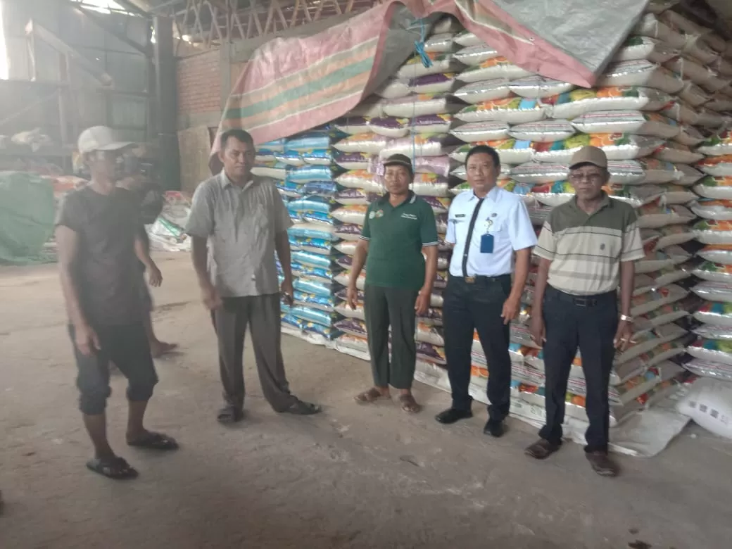 MONITOR: Ketua Perpadi PPU Totok Suprapto (kiri) bersama petani dan unsur Dinas Pertanian PPU memonitor ketersediaan beras yang menumpuk pada penggilingan di Babulu.(ist)  