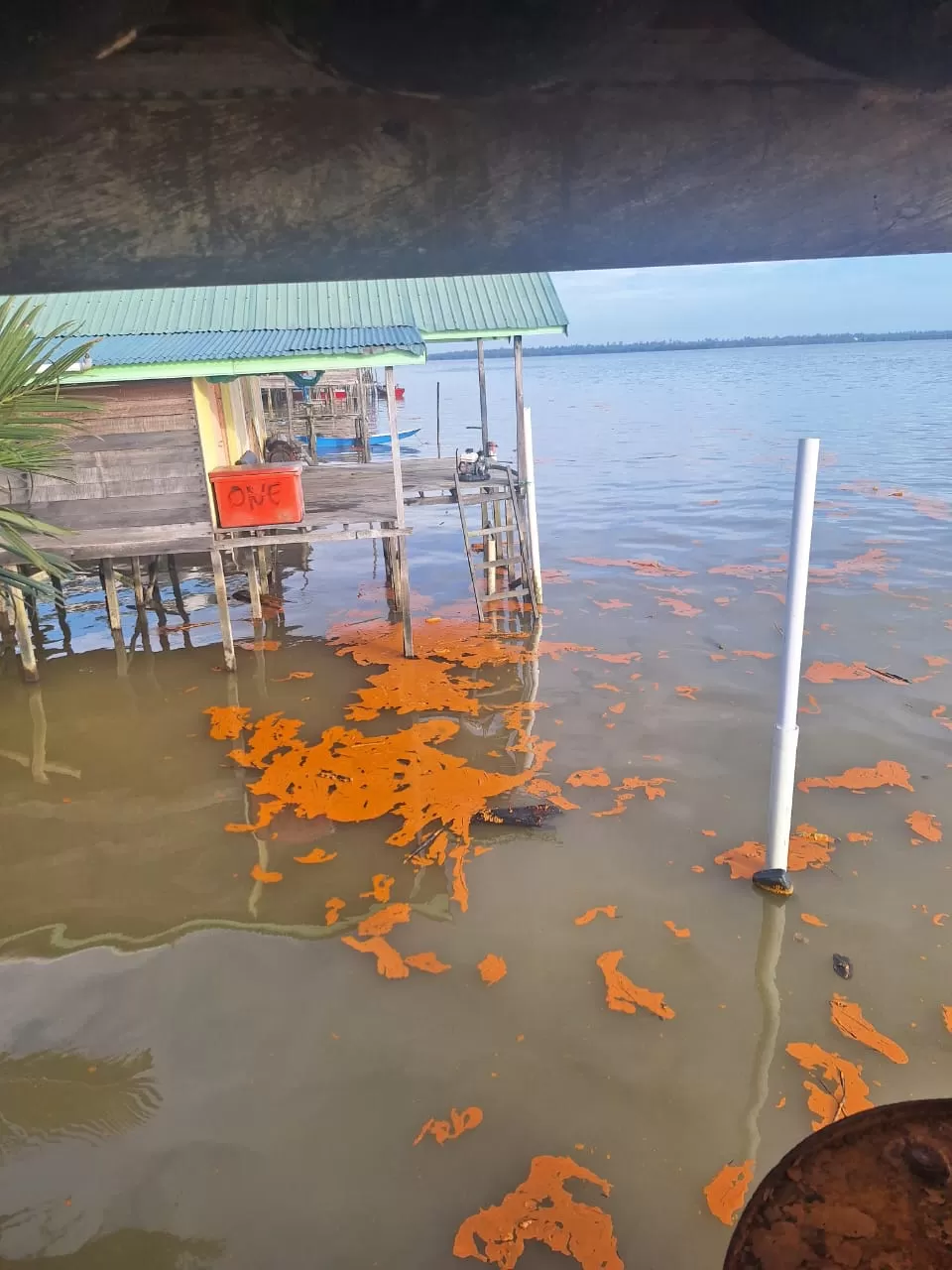  MASUK TAMBAK: Limbah berwarna oranye yang masuk ke tambak nelayan di Kampung Pegat Betumbuk, Kecamatan Pulau Derawan, Jumat (5/7/2024). (Ahmad Hutbi untuk Berau Post)