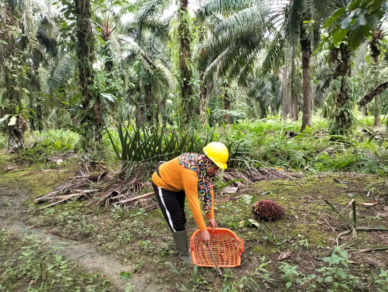 JADI TENANG: Suarni, salah seorang pekerja di PT SKP. Saat bekerja, anaknya dititipkan di TPA perusahaan. (ISTIMEWA)