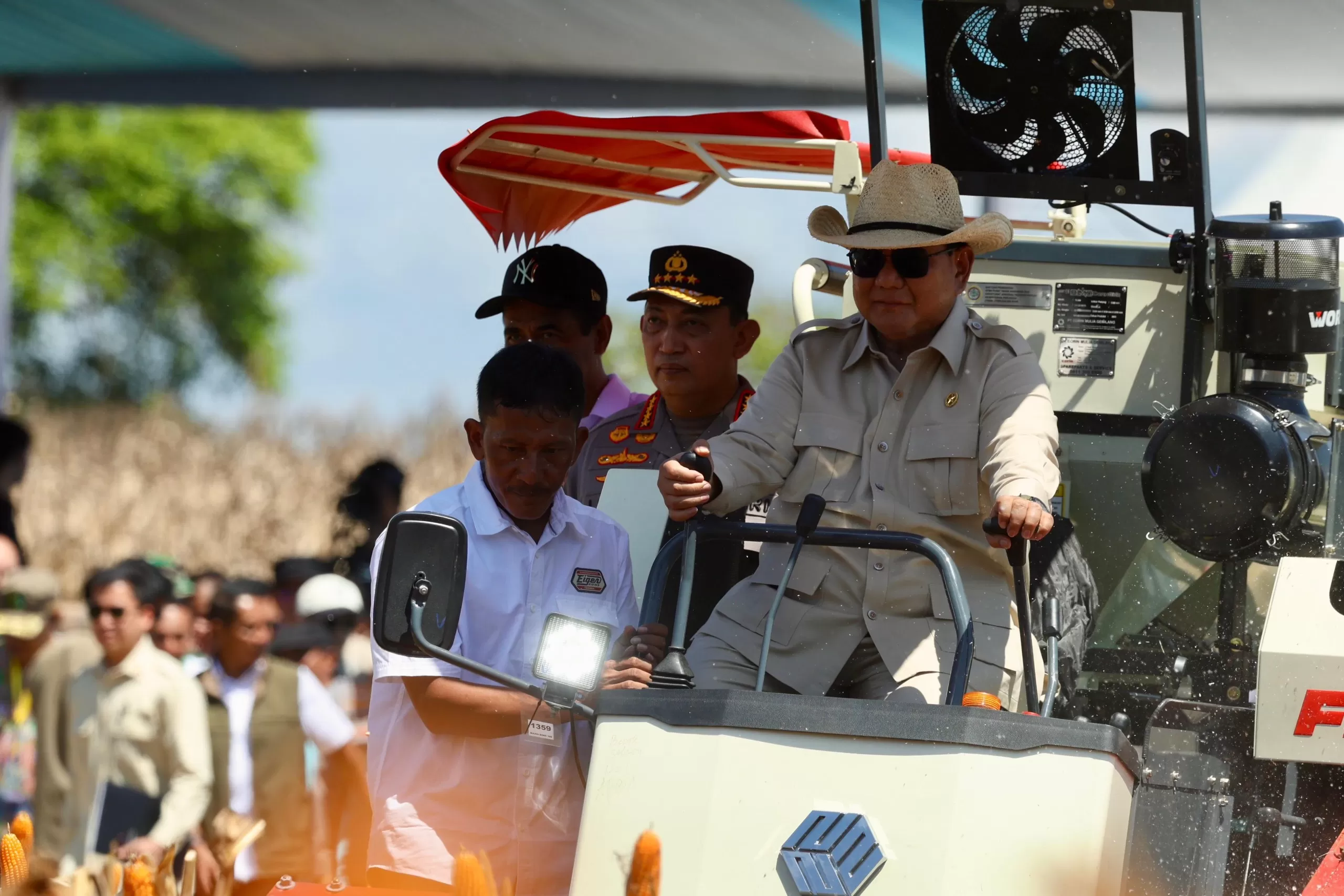 Prabowo panen jagung.