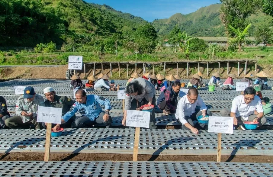 SWASEMBADA: Himpuni menggelar tanam raya perdana bawang putih di Lombok Timur, NTB, Kamis, 12 Juni 2025. (ISTIMEWA)
