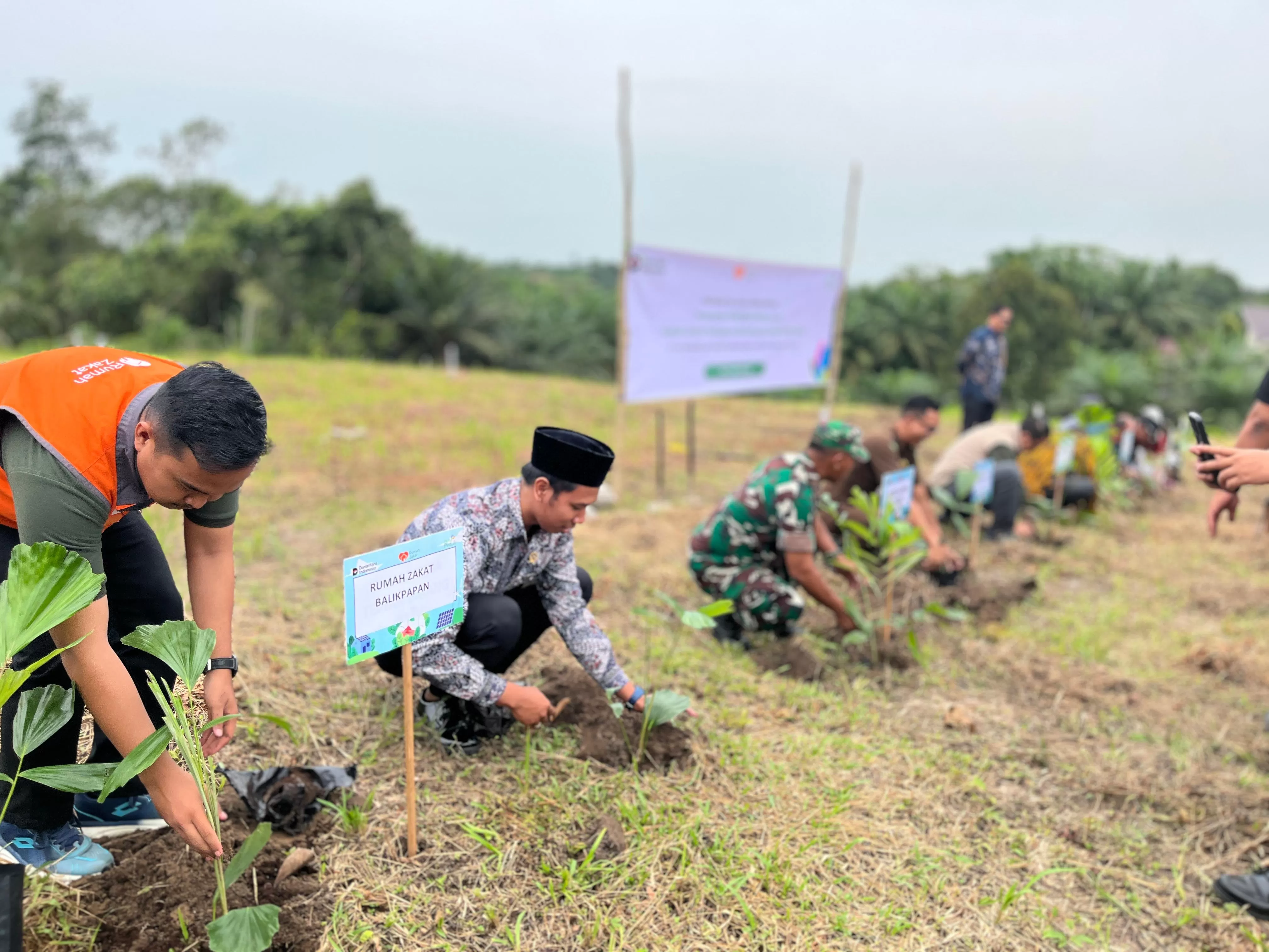 KOLABORASI: Penanaman 1.000 bibit pohon aren oleh PLN dan Rumah Zakat di Desa Tepian Batang, Kecamatan Tanah Grogot, Kabupaten Paser, Kamis, 21 Agustus 2025. (ISTIMEWA)