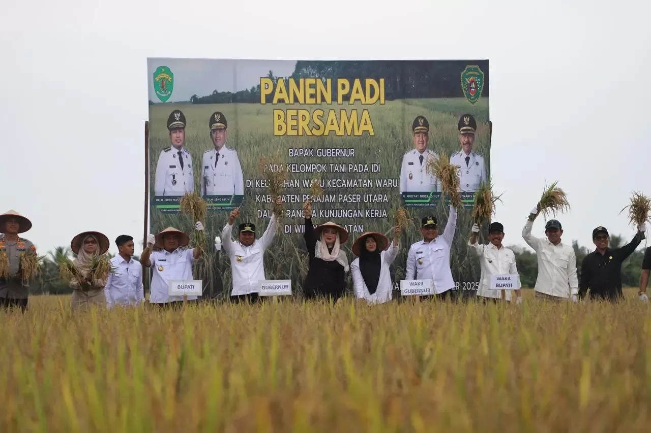 Gubernur panen padi.