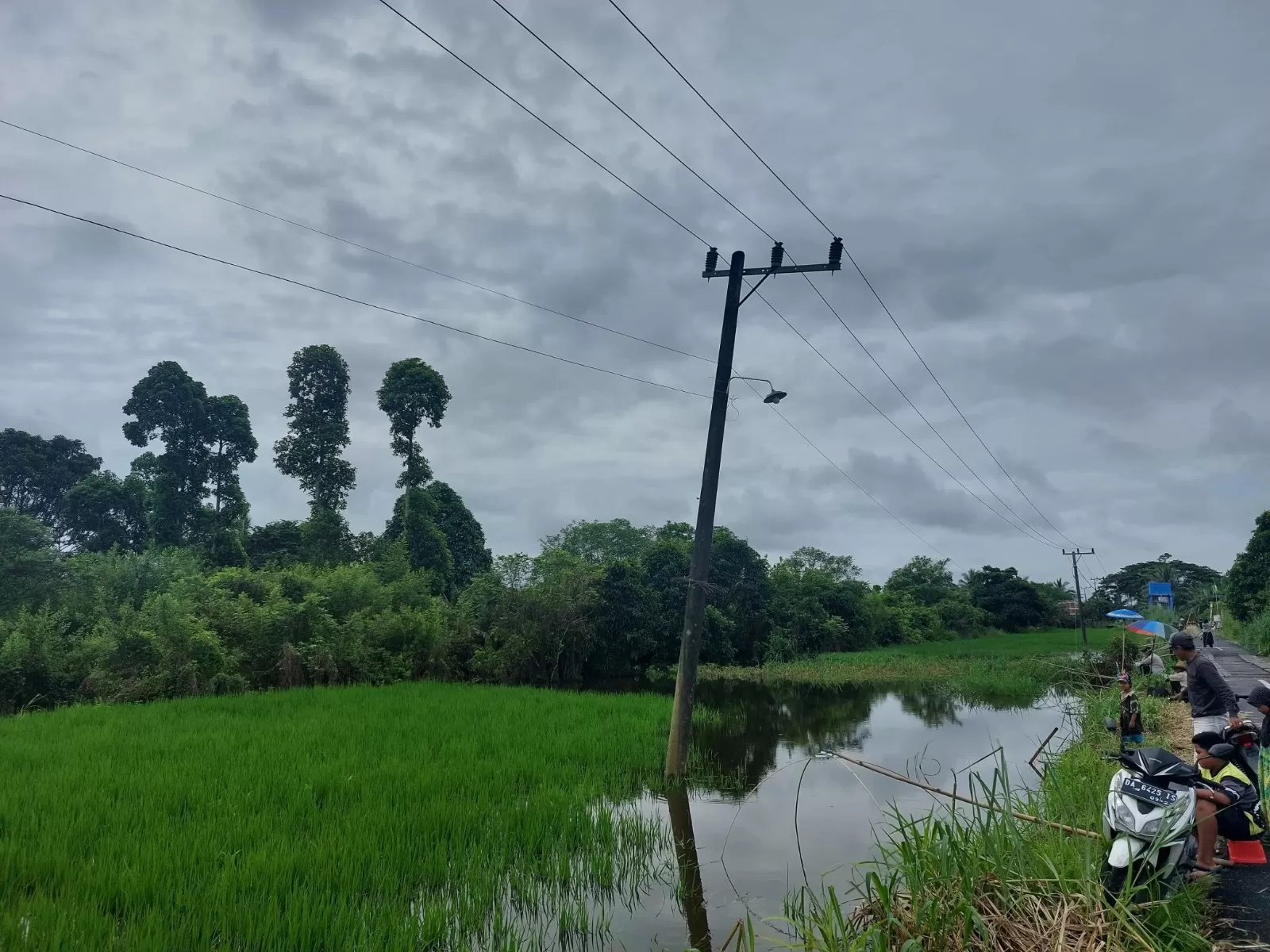 Ratusan Hektar Lahan Pertanian Di HST Terdampak Banjir - Balpos