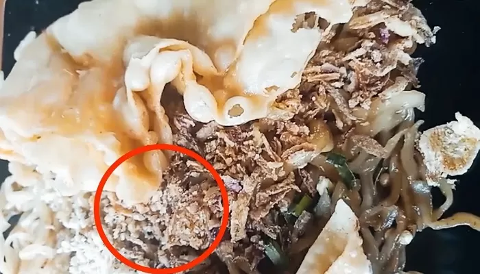 Gawat Mie Gacoan Viral di Media Center, Karena Temukan Ini  (Foto: radarcirebon.com )