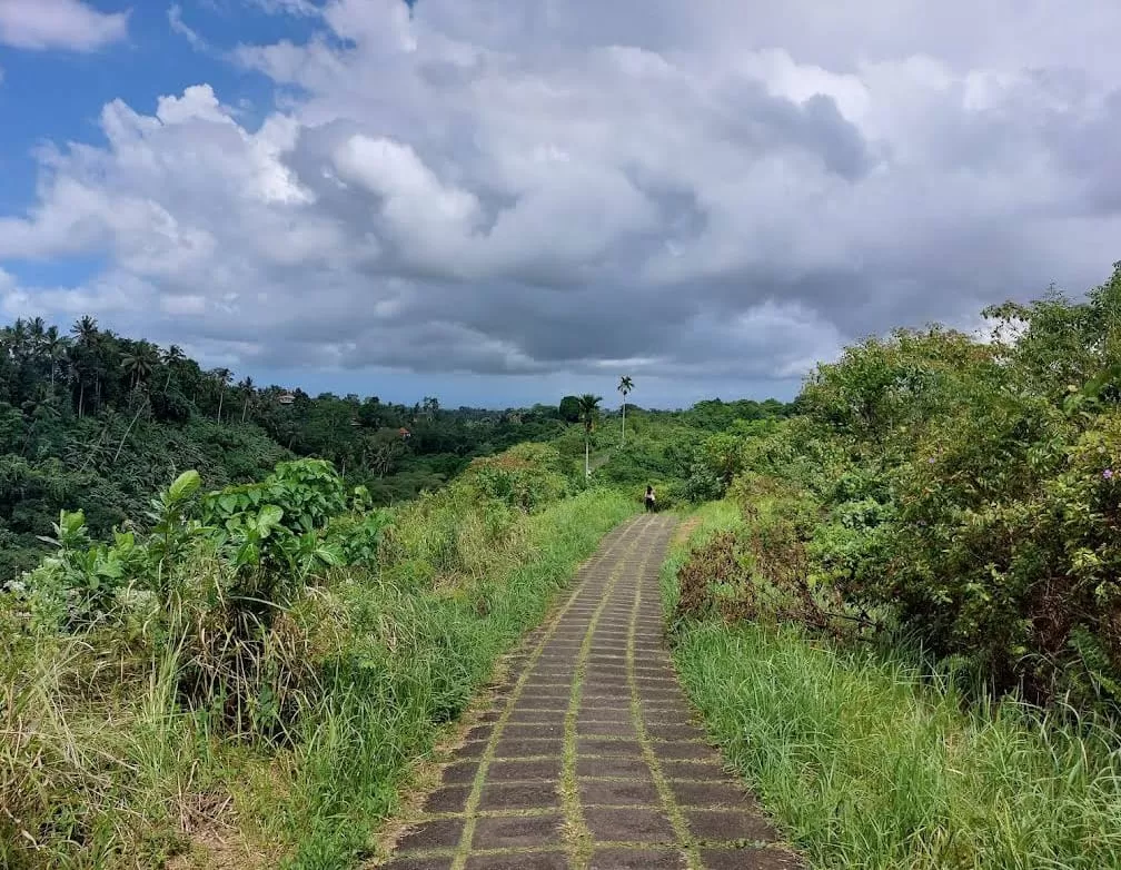 Trek di Bukit Campuhan, Ubud. (Google Reviewer / Lars F. Clausen)