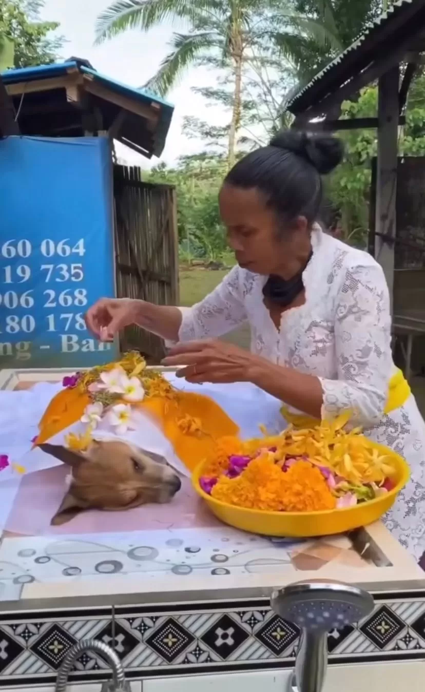 Seorang ibu yang menandikan dan menaburkan bunga pada anjing yang sudah meninggal. (Instagram / @thebalinesepeople)