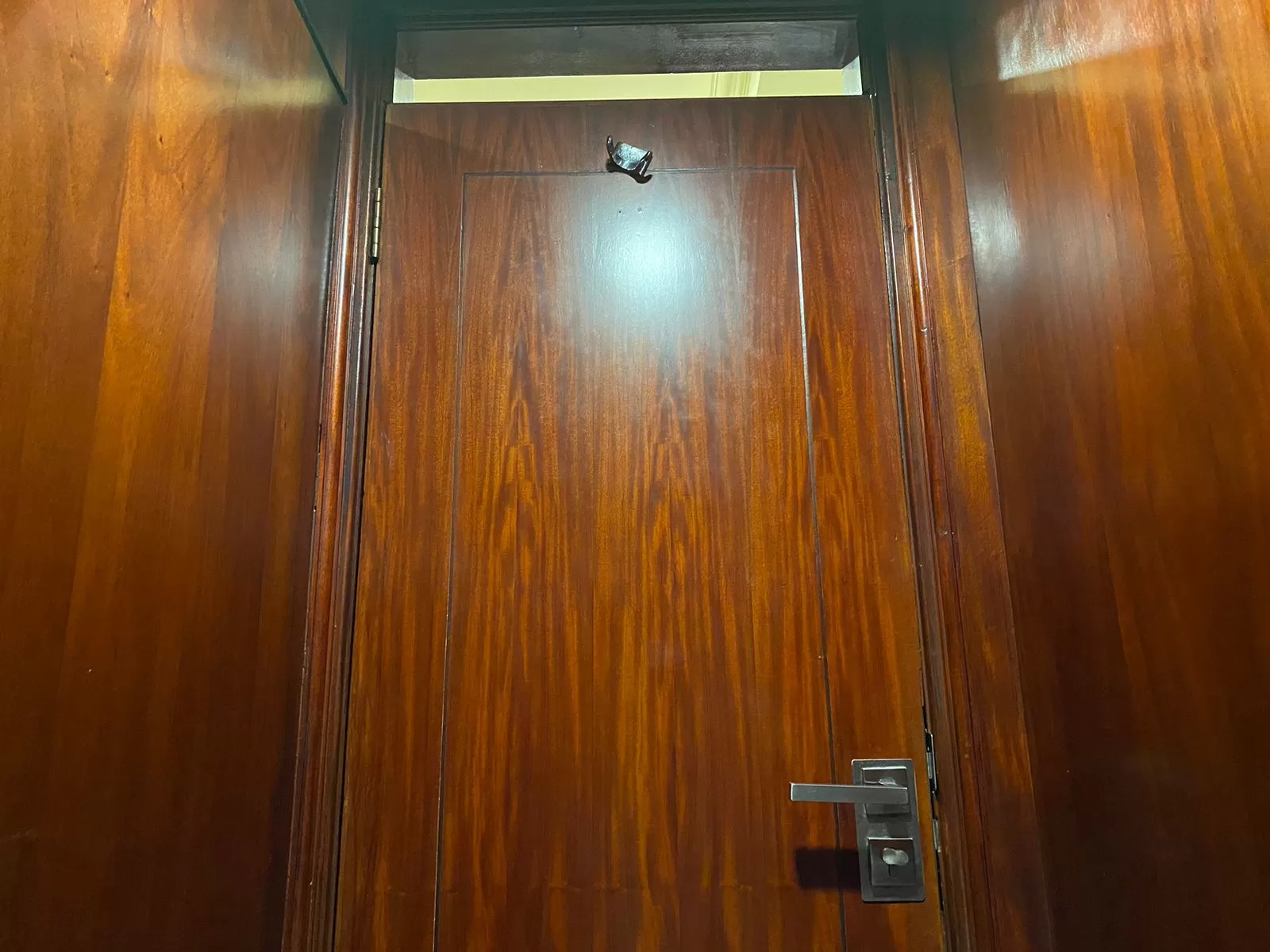 Ilustrasi pintu kayu untuk toilet. (Pande / Rinus Muntu)