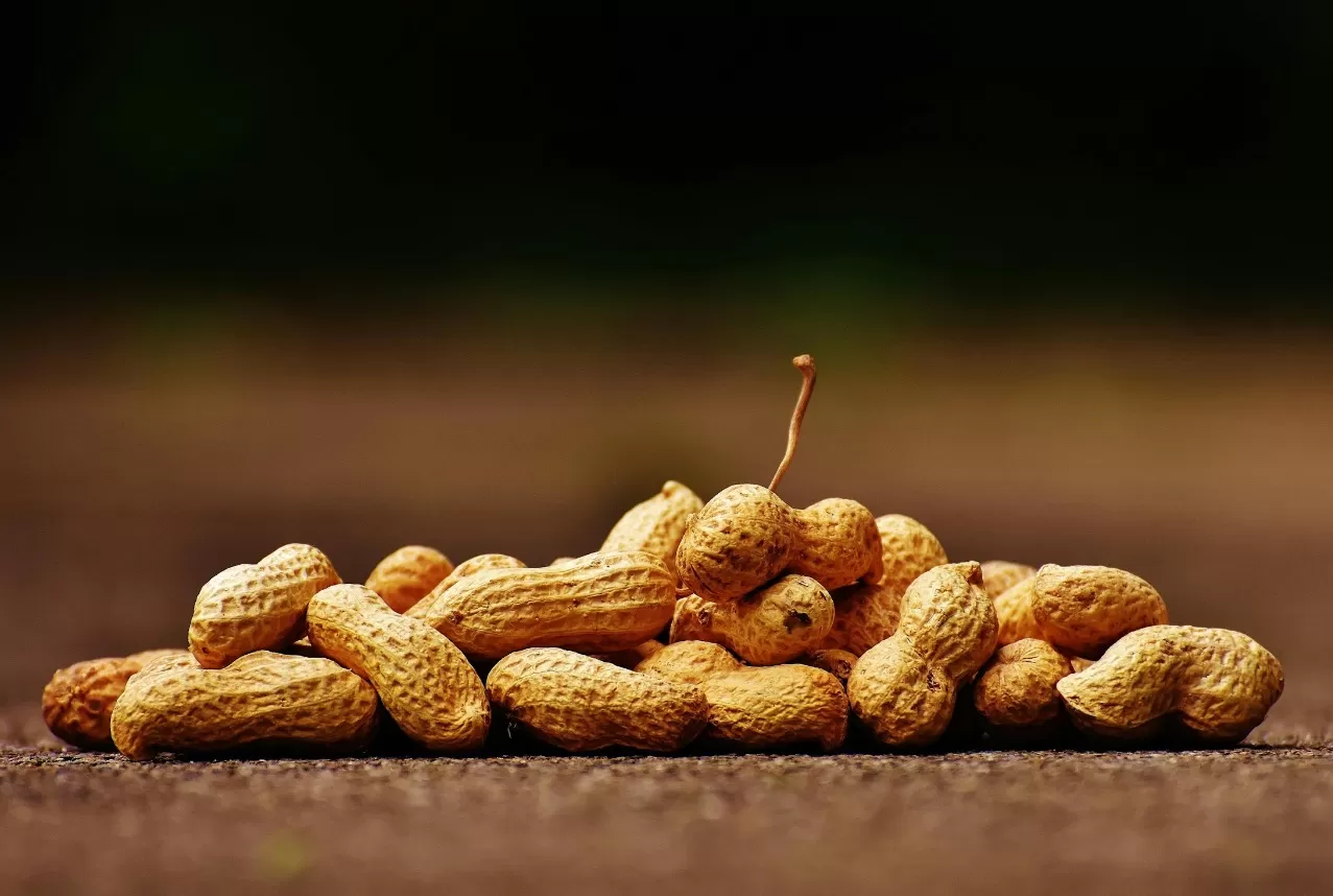 Kacang tanah, salah satu dari sekian aneka rebusan tradisional. (Pexels / Pixabay)