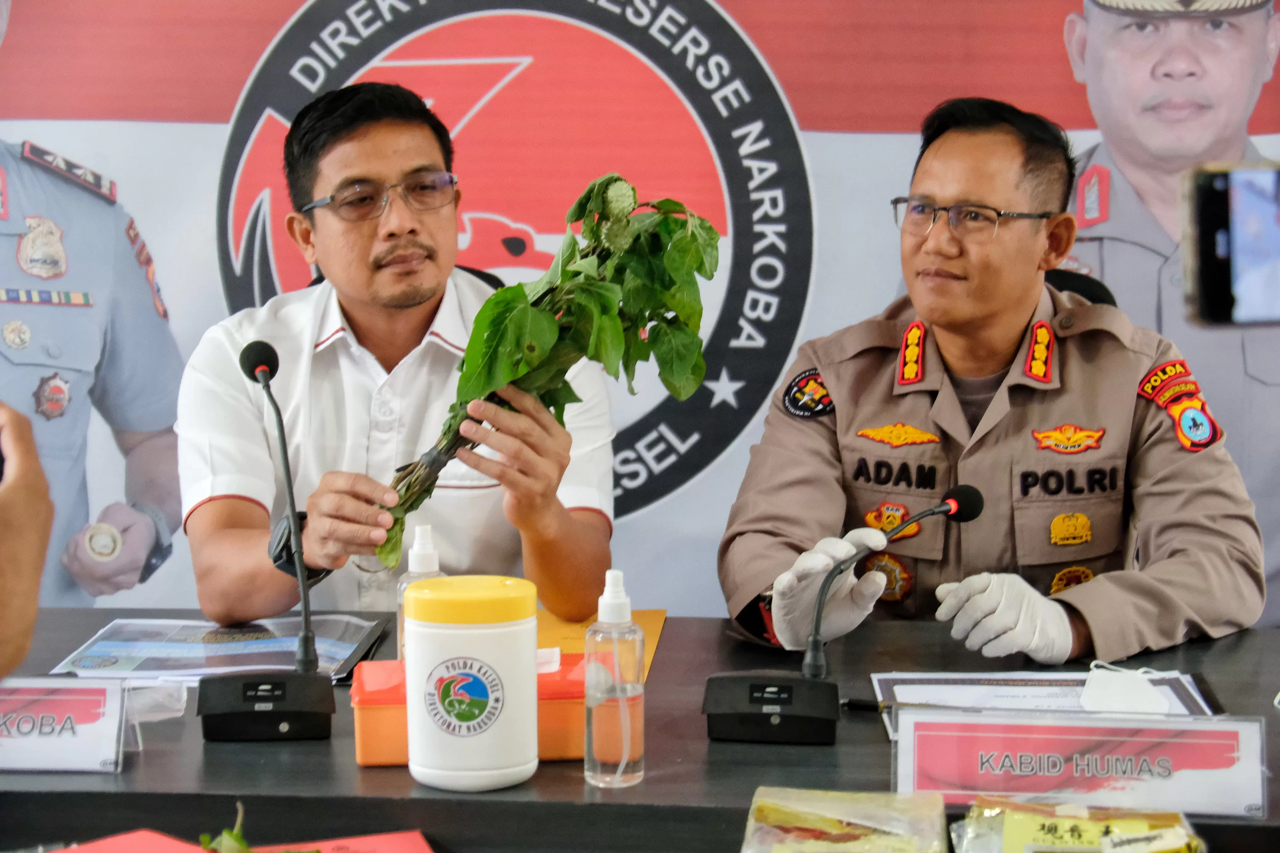 Fenomena Mabuk Kecubung, Polda Kalsel Ungkap Korban Tak Memakan Kecubung  Tapi Ini... - Radar Banjarmasin