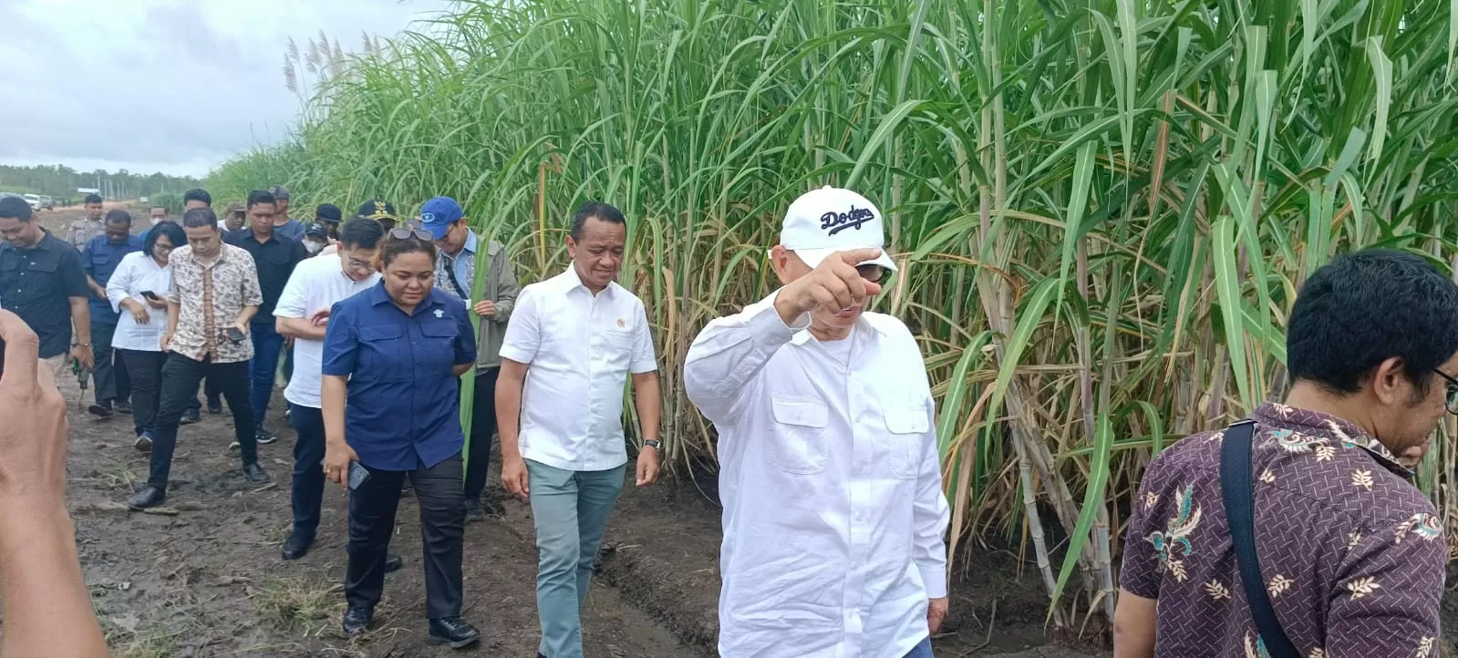 Menteri  Investasi Republik Indonesia Bahlil Lahadalia saat meninjau percontohan dan percobaan sejumlah varitas tebu yang ditanam di Kampung Sermayam I Distrik Tanah Miring, Merauke, Jumat 17/05/2024 (CENDERAWASIH POS/Yulius Sulo)