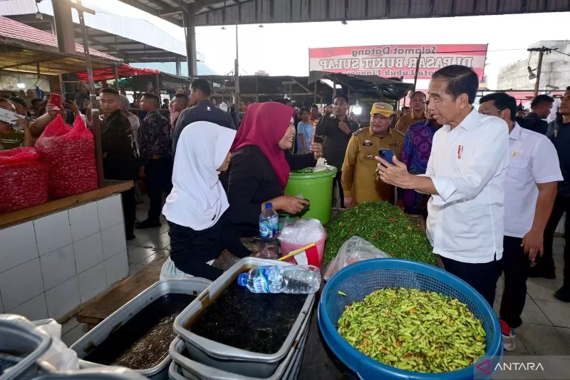 Presiden Joko Widodo (Jokowi) saat meninjau harga bahan pokok di Pasar Bukit Sulap, Lubuklinggau, Sumatera Selatan, Kamis (30/5/2024).  (ANTARA/HO-Biro Pers Sekretariat Presiden)