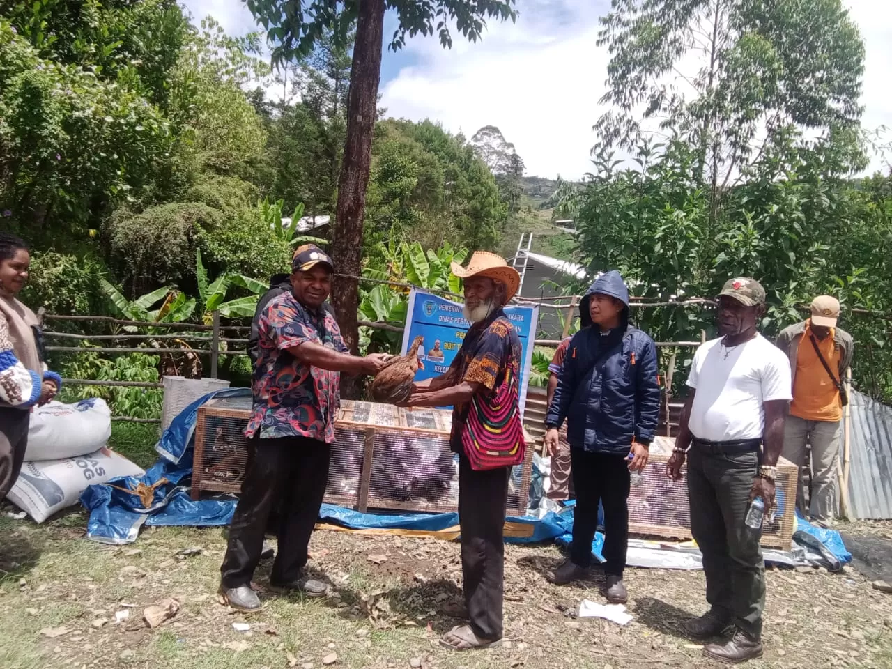 Kadis Pertanian dan Peternakan Kab. Tolikara Boas Yikwa,SE  serahkan bantuan benih ikan unggul dan bibit ayam buras kepada kelompok budidaya perikanan dan peternakan di Distrik Wenam,  Karubaga. ((Ceposonline.com/Diskominfo Tolikara))