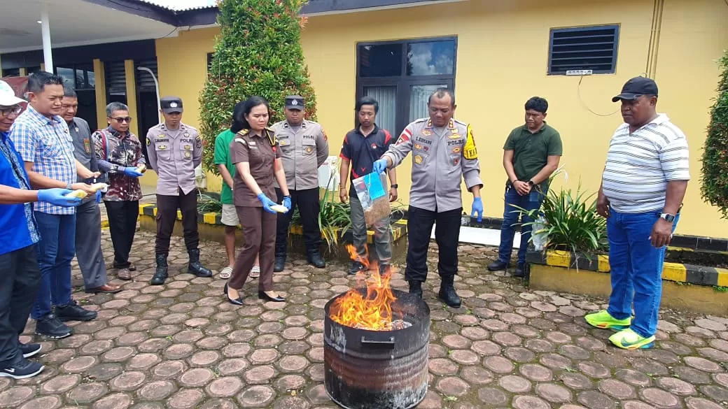 Polres Mimika saat memusnahkan Narkotika jenis Tembakau Sintetis dan Obat Dextromethorpan senilai Rp 51 juta di Mapolres Mimika, Selasa (29/10/2024).&nbsp;Foto: Humas Polda Papua