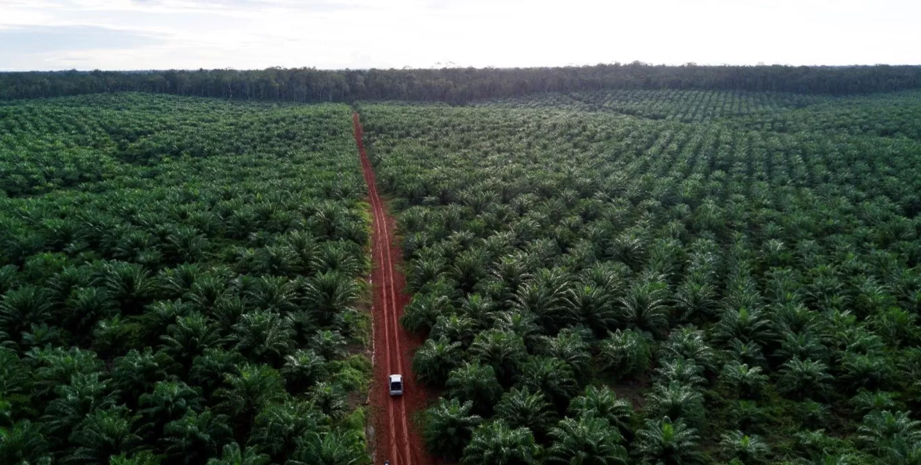 Perusahaan Indonesia Bergabung dalam Inisiatif Berbasis Sains Internasional untuk Mengurangi Emisi (TSE)