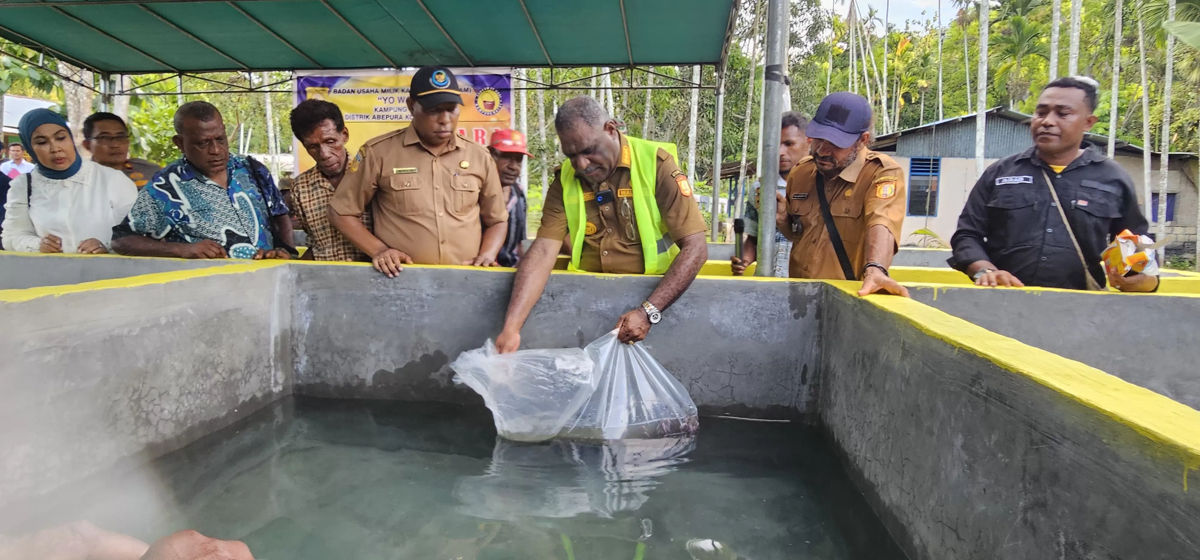Wali Kota Jayapura, Abisai Rollo saat menabur benih ikan dikeramba milik Kelompok budidaya Ikan Lele di Kampung Nafri, Selasa (3/6/2025).