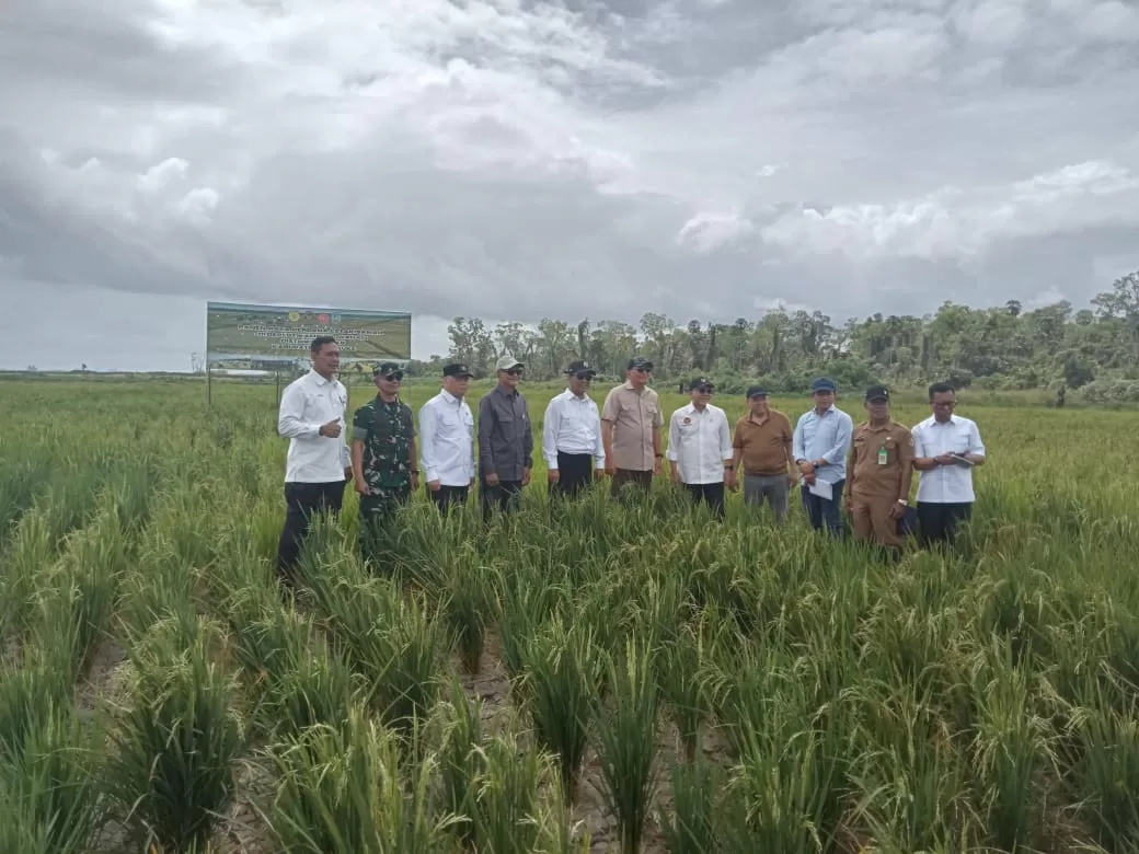 Para Menteri yang melakukan kunjungan ke Wogikel Distrik Ilwayab saat foto bersama di sebuah lahan yang telah ditanami padi.  (Ceposonline.com/Istimewa)