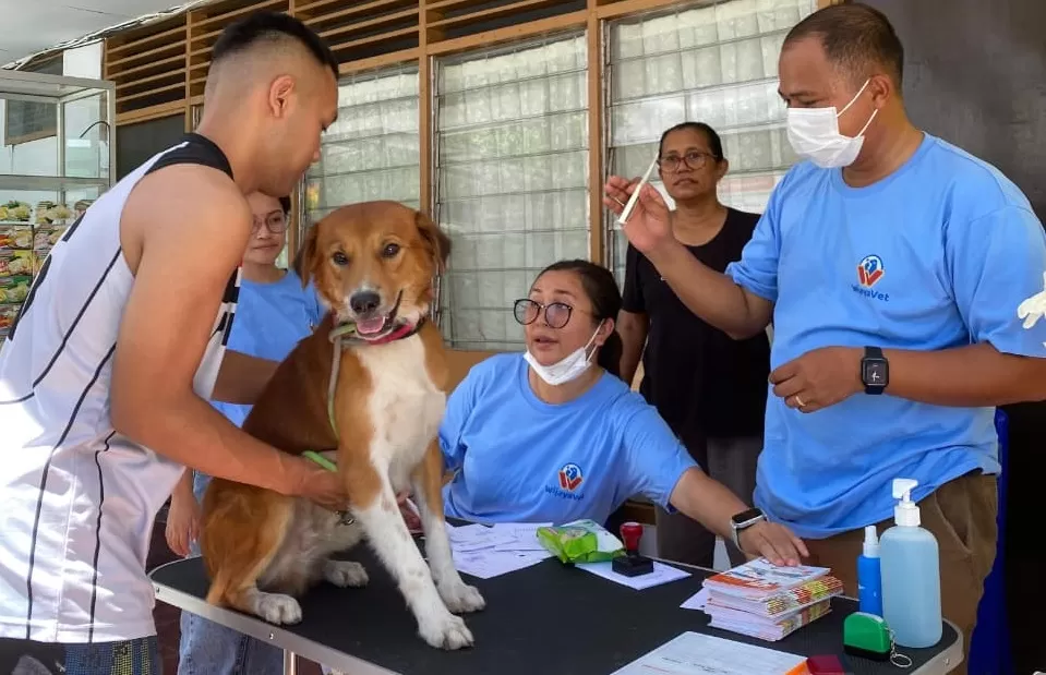 Kegiatan vaksinasi dalam rangka Hari Rabies Sedunia pada 28 September 2025. (Dok pribadi)