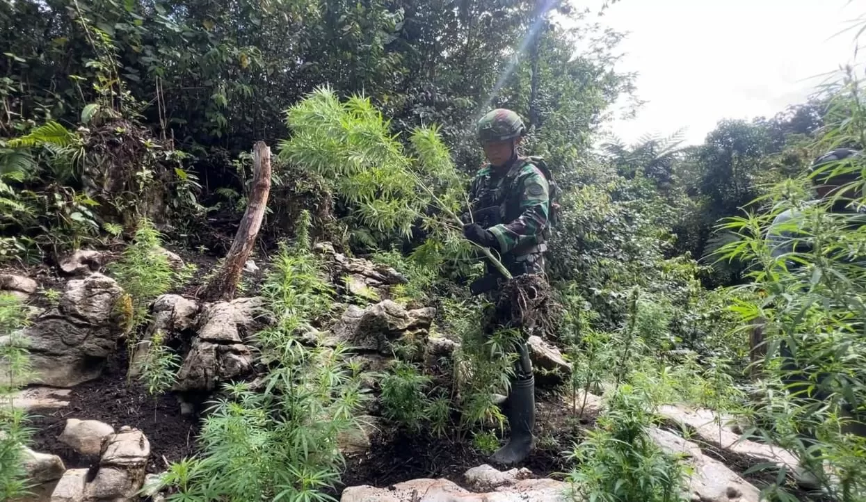 Tim Satgas yang berhasil menemukan ladang ganja di Kampung Kabiding, Distrik Oksibil, Kebupaten Pegunungan Bintang, Selasa 21 Oktober 2025. (Foto: Satgas&nbsp;Yonif&nbsp;751/VJS).
