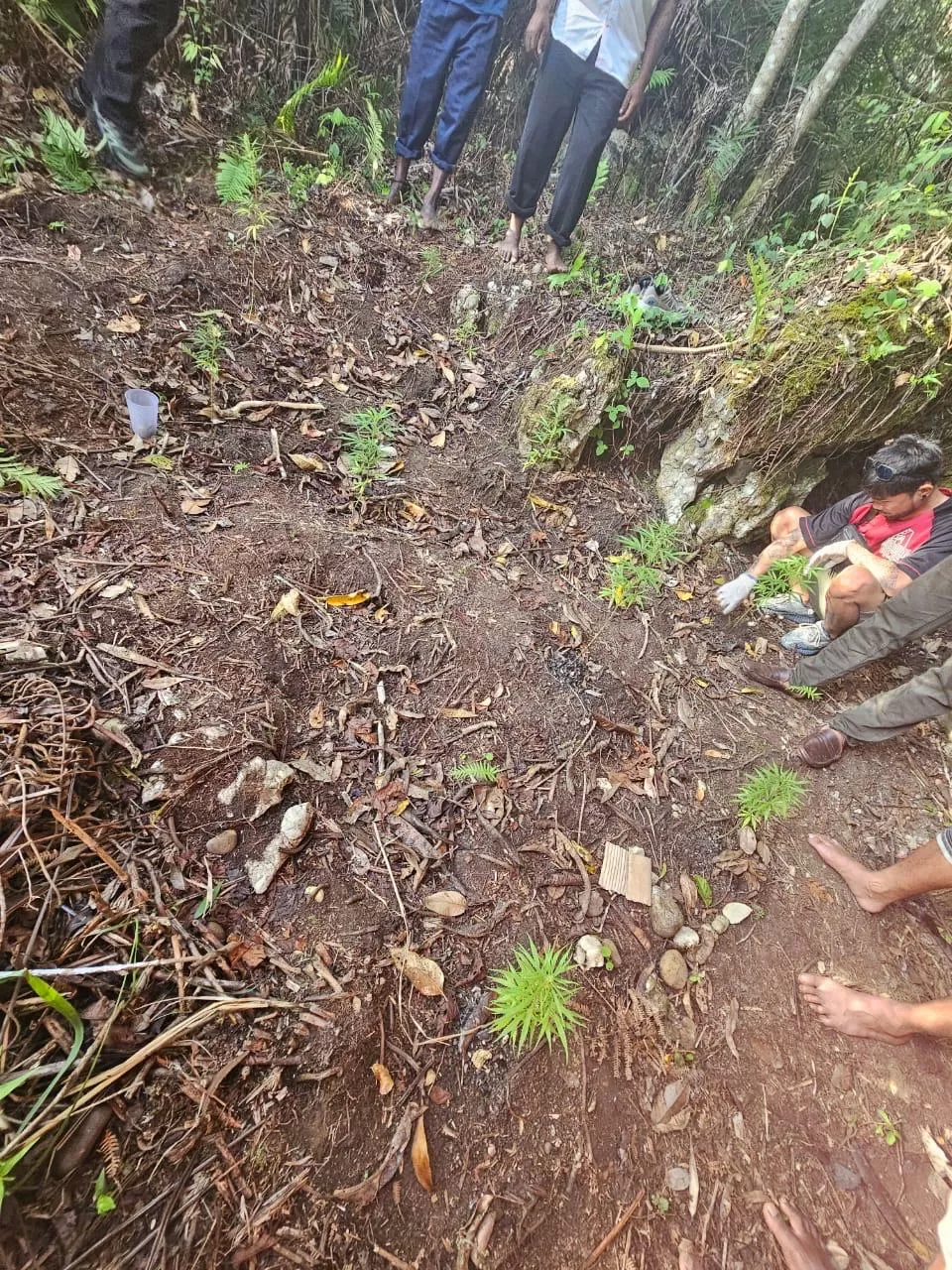 Anggota Sat Narkoba saat menemukan 11 tanaman ganja berbagai ukuran di sekitar hutan dari kampung wawanca, Distrik Asologaima Senin (27/10/2025). (Ceposonline.com/Dok.Polres Jayawijaya)