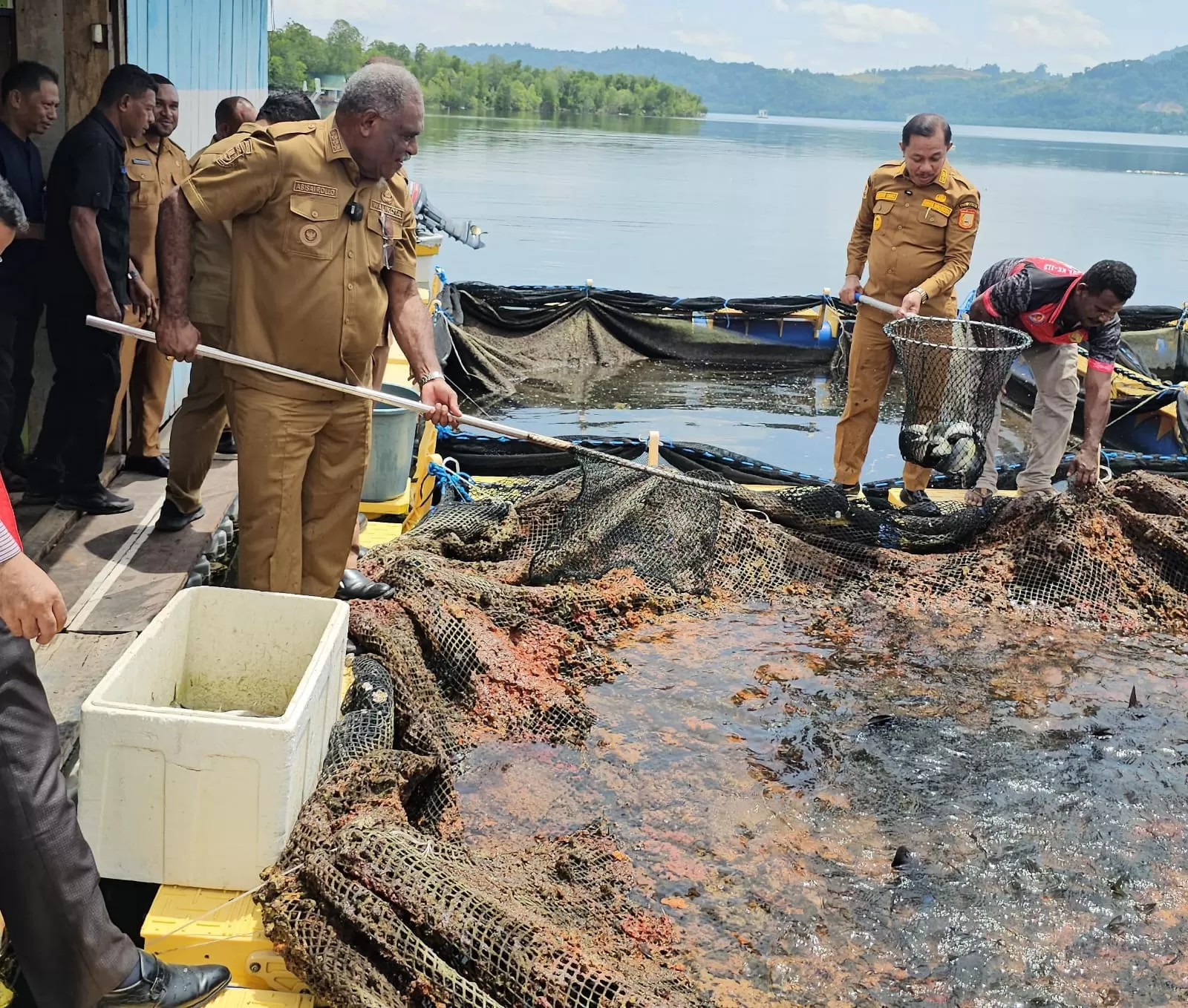 Wali Kota Jayapura, Abisai Rollo dan Wakil Wali Kota, Rustan Saru saat panen raya ikan mubara, lobster dan ikan nila hasil kerja sama dengan pihak Unhas, Selasa (9/12/2025). 
