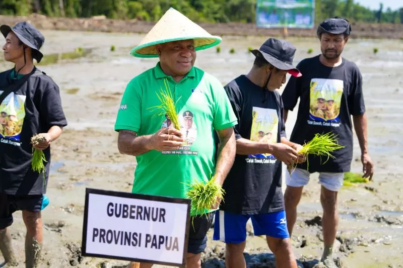 Gubernur Papua Mathius Fakhiri, saat melakukan penanaman perdana di Kabupaten Sarmi, Papua pada beberapa waktu lalu. (ANTARA/HO- Pemprov Papua)