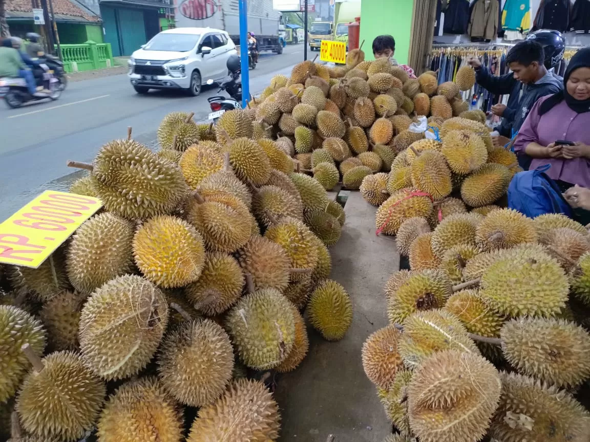 Buah durian asal Padang Sumatera Barat yang dijual di Jawa Barat (TatarMedia.ID - Rapik Utama)