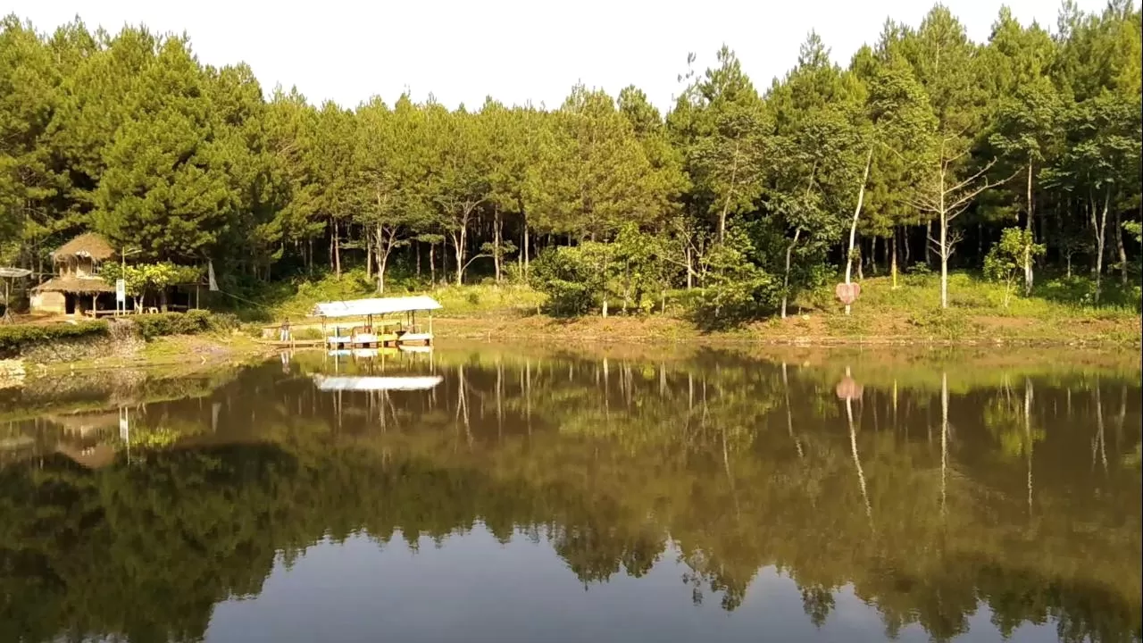 Situ Cukang Paku di Sukabumi danau dan hutan pinus cocok untuk bangun tenda (Rudi Imelda - TatarMedia.ID)