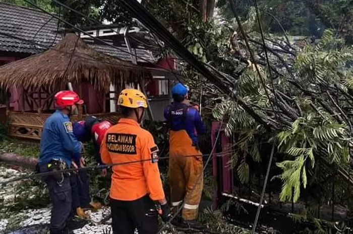 Kota Bogor Selepas Hujan Deras dan Angin Kencang Melanda Sabtu 18 November 2023.png