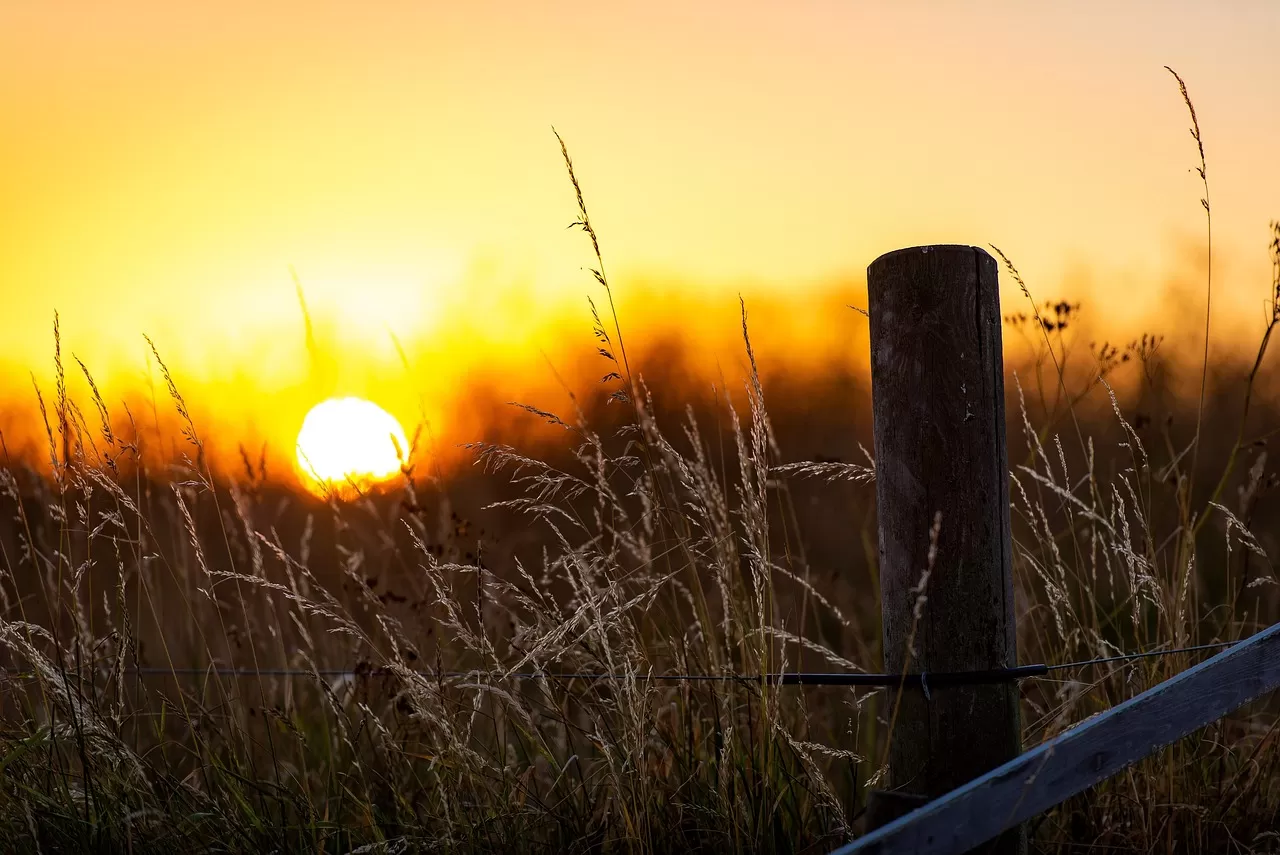 Kepala BMKG menyebut tahun 2023 rekor tahun terpanas lebih panas dari tahun 2016 (Foto : Pixabay )