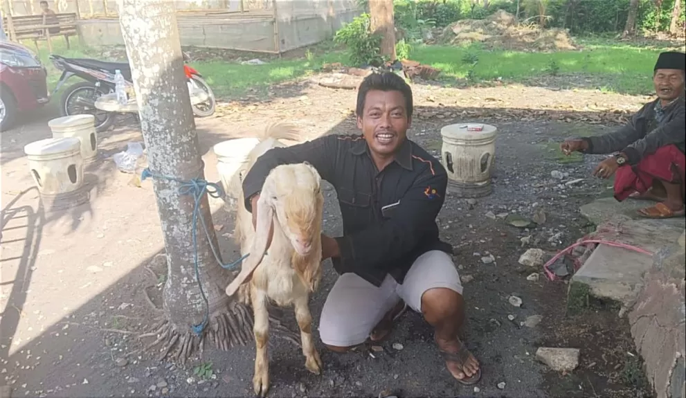Barang bukti Kambing Etawa yang sempat hilang dicuri akhirnya kembali ditemukan pemiliknya  (Dok : Humas Polri)