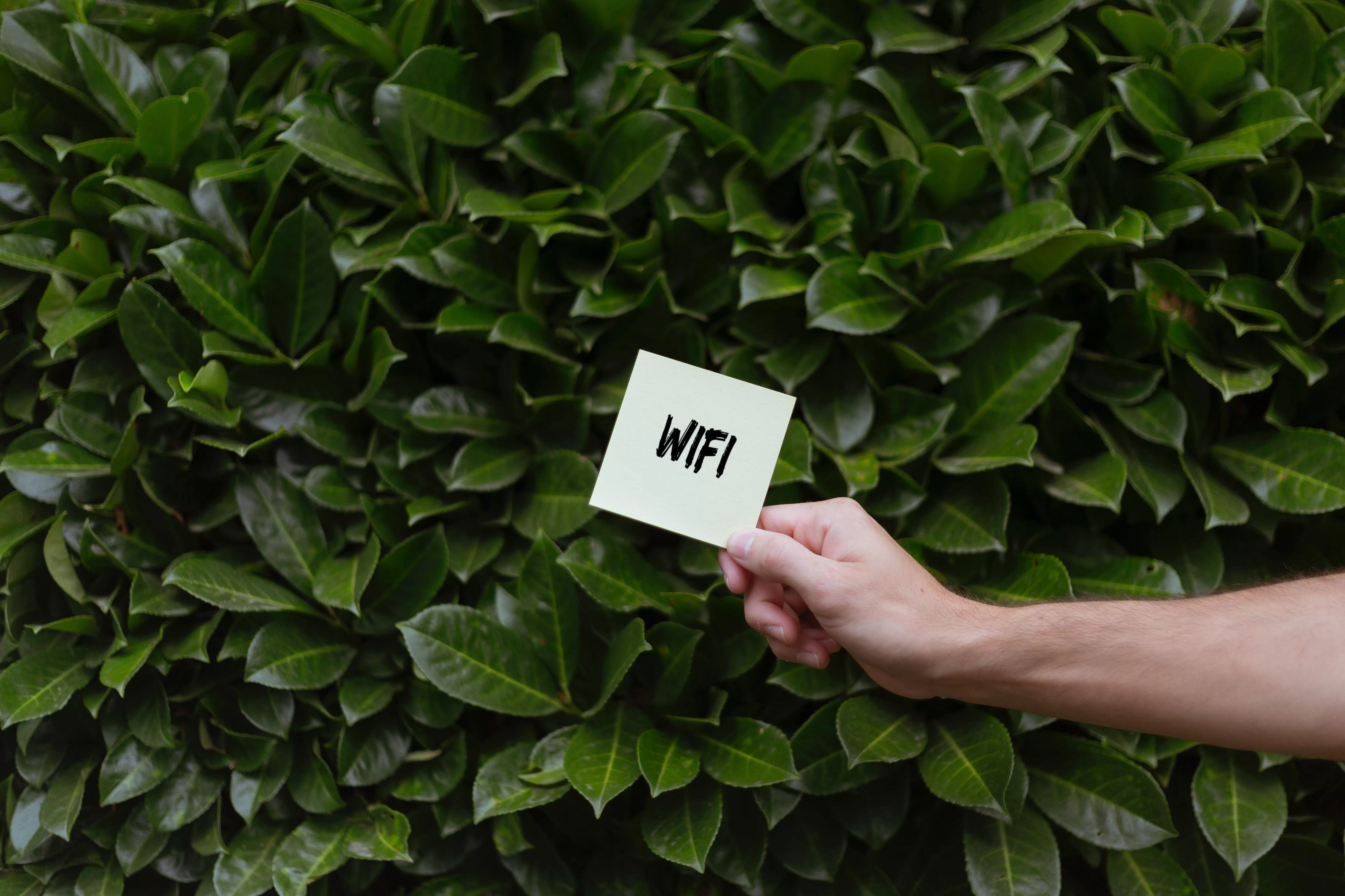 Ilustrasi WIFI Photo by Image Hunter (Image Hunter)