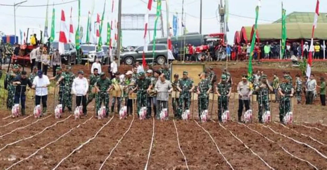 KSAD Jenderal TNI Maruli Simanjuntak Tinjau Ketahanan Pangan di Sukabumi sekaligus penanaman bibit jagung di lahan Hanpangan  (TatarMedia.ID - Rudi Imelda )