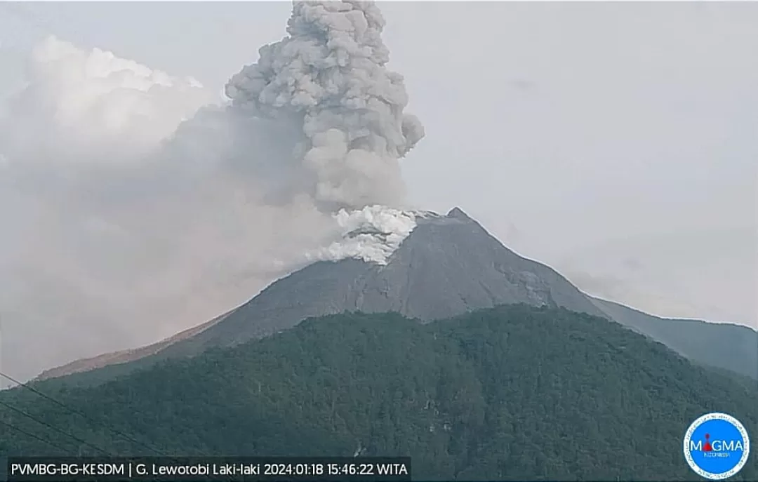 4 Gunung Api di Indonesia Erupsi hari ini, Gunung Lewotobi Laki-laki tercatat 6 kali erupsi sepanjang hari Kamis (18/01/2024) (PVMBG )