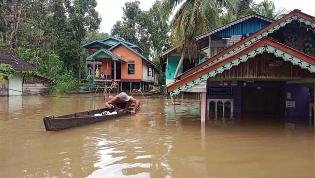 4 Kecamatan di Malawi Kalimantan Barat Sepekan Direndam Banjir (BNPB)