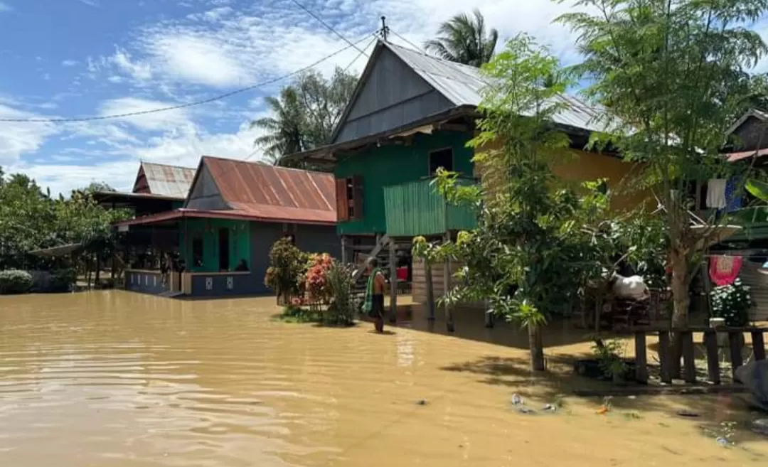 Banjir Kepung 10 Desa Kelurahan di Wajo Sulawesi Selatan  (BNPB )