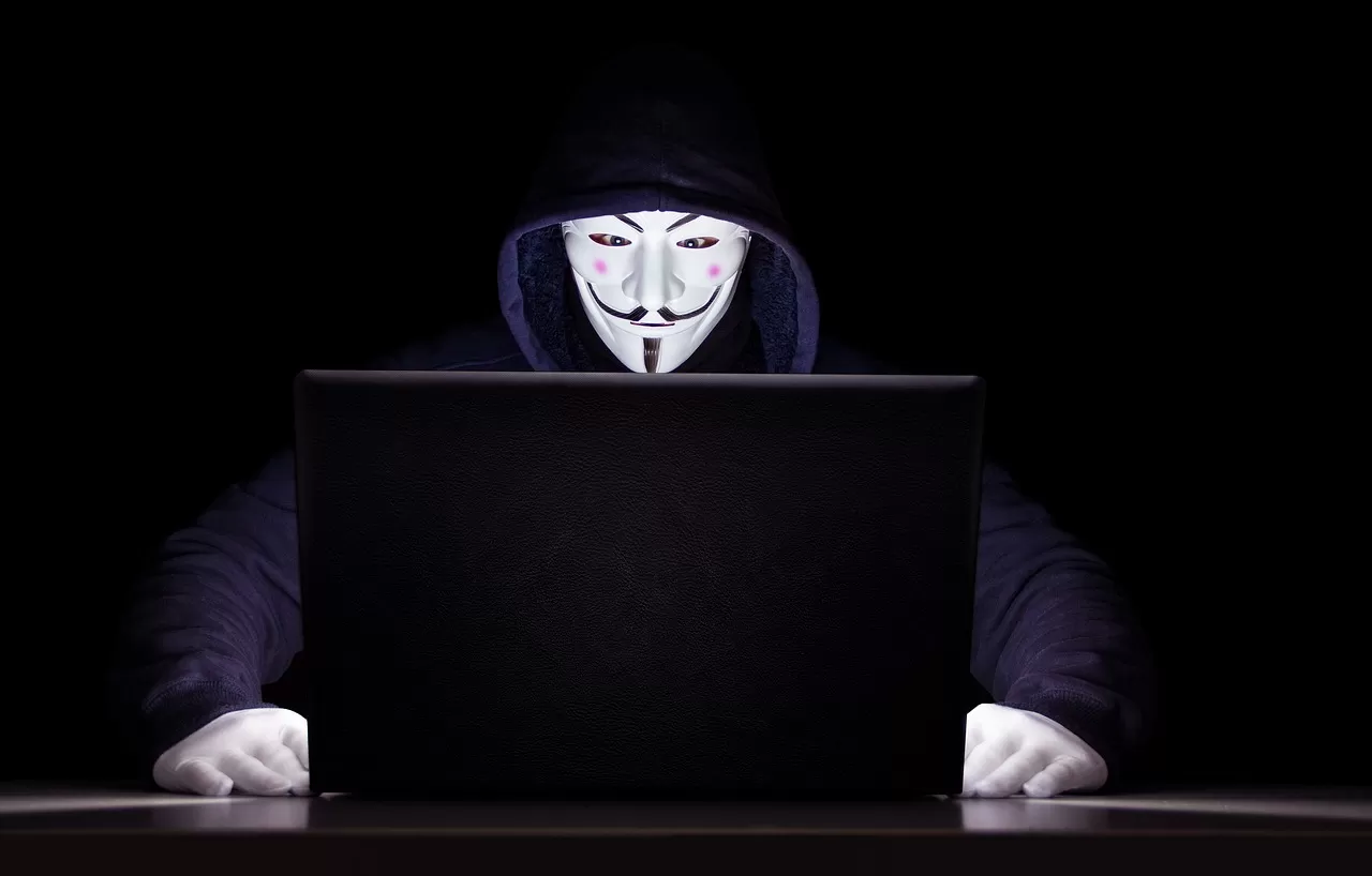 Hacker Bjorka Bobol 6 Juta Data NPWP, Simak Faktor Penyebab dan Cara Tidak Terkena Peretasan  (Pixabay - FotoArt)