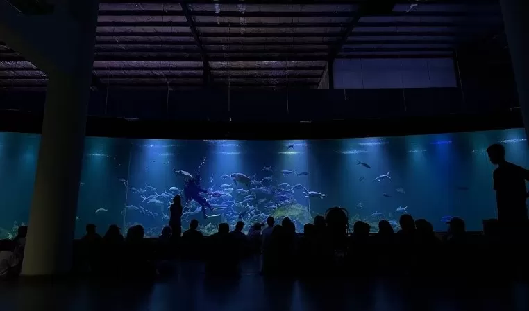 Aquarium Indonesia Pangandaran