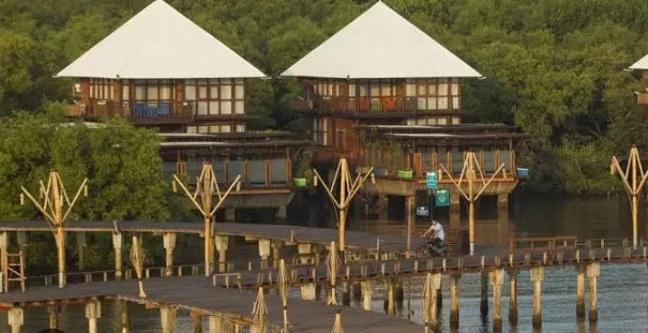 Miliki keindahan alam asri, fasilitas lengkap, dan berbagai aktivitas menarik, BeeJay Bakau Resort adalah destinasi wisata yang wajib Anda kunjungi di Probolinggo. (Kwarda Jatim) (Puspitawati )