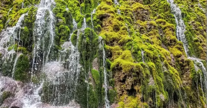 Air Terjun Pletuk adalah Destinasi yang Wajib Anda Kunjungi Jika Sedang Berada di Ponorogo. (Traveloka) (Puspitawati )